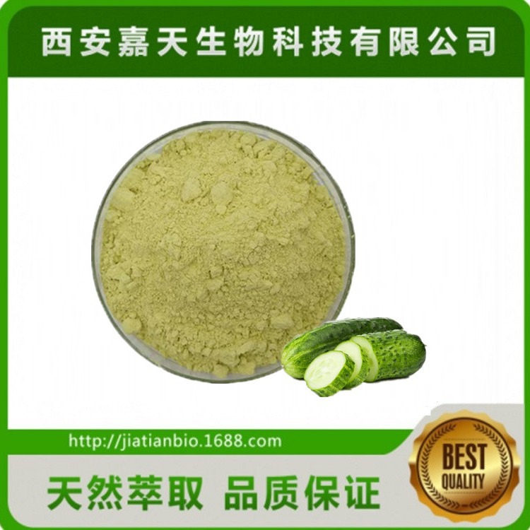 西安嘉天供应  过80目筛网  30：1 黄瓜粉 黄瓜提取物