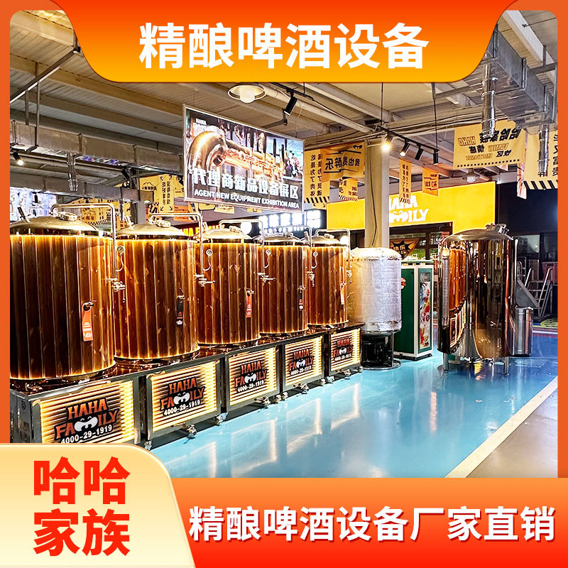精酿啤酒制作技术 精酿啤酒成套制作机械 精酿啤酒成套制造设备