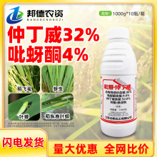 һ���s�� 36%�ٶ�������ͪ���wʭ���Ú��x������ˮ���x�߻����rș