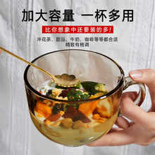 早餐杯大容量带盖勺玻璃杯水杯女家用耐高温茶色燕麦牛奶咖啡杯子