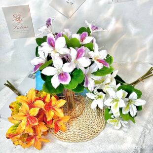 �������G���������G�������Ҿӻ�c�b[���zӰ���߿羳�ٻ����l