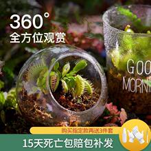 ��ω��ʳ�x����ò���ֲʳ�˻����ø��N��ʳ���B����һ��