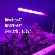 紫光灯多肉补光上色植物补光灯植物生长幼芽萌发全光谱长条家用热