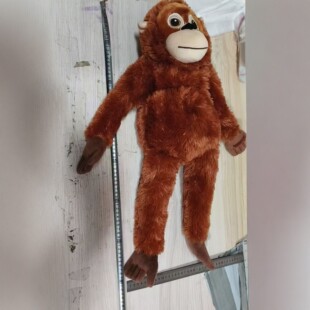 �羳�����L�ۺ���ë�q���пɐ�������ż���ᱧ�����l����Y��