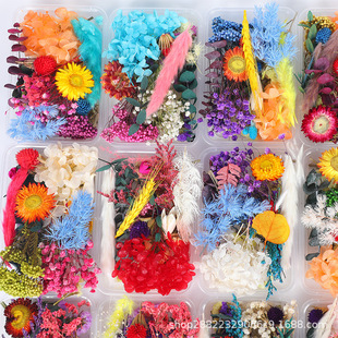 Вечная жизнь сухой цветочный материал окутает сухие цветы и цветочное искусство продукты DIY DIY Разбросанный вечный цветочный высушенный цветок.