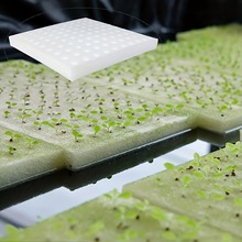 育苗海绵 黑白色水培海绵无土栽培海绵 种植海绵育苗块水培定植棉