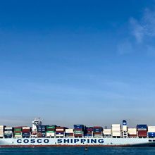 上海出20GP去埃及开罗海运FCL整柜国际货运代理运输