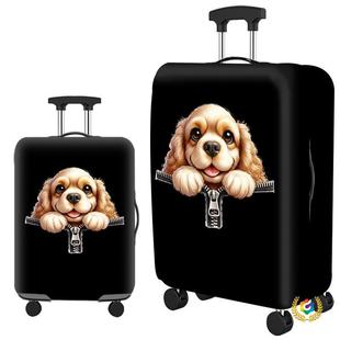���ߏ������� �Ӻ���m�՚�������䱣�o�� ���U����o�� ������