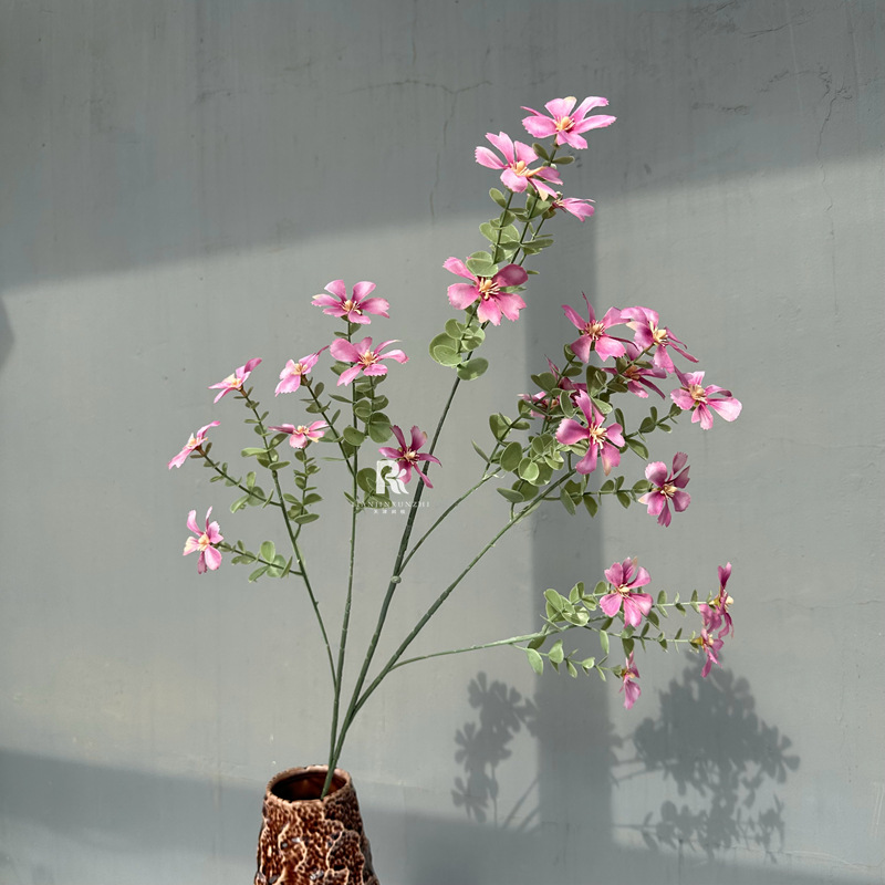 보라색