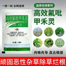 高效氟吡甲禾灵尖叶芦苇牛筋草狗尾草专杀花生大豆田除草剂批发