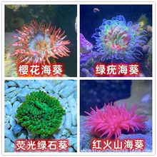 �^�p�����ѻ��G��t��ɽ���w�������ﺣˮ�����С���~��������