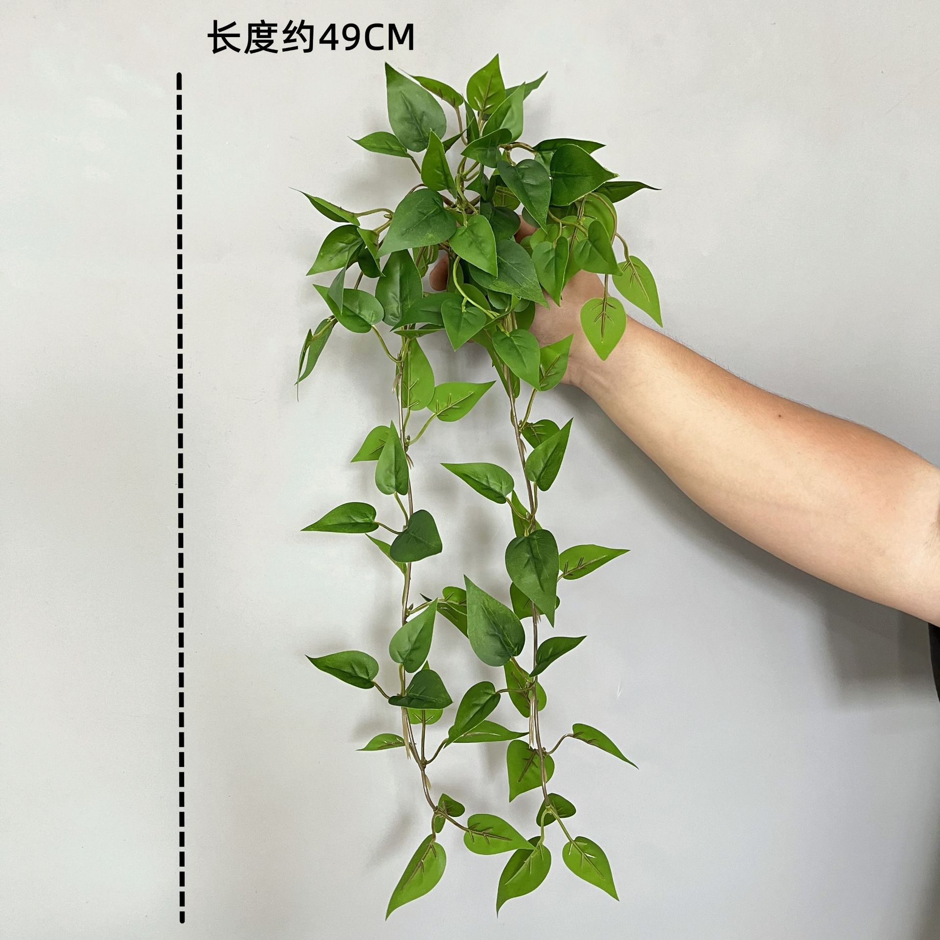 緑のロリの葉