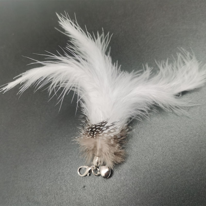 구형 백우 교체 헤드