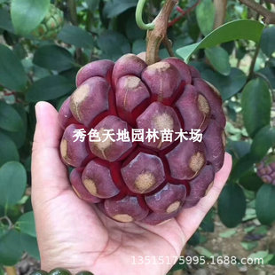 ���ϻ����� ��ζ�� �����ȴ�Ѫ�پ�F���٘��翹˪���ϱ����Nֲ