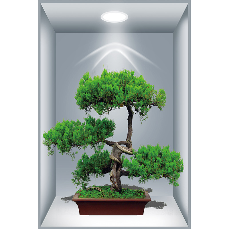 新款3D立体效果盆栽贴画客厅三联装饰画出租屋过道楼梯墙面自粘画|undefined