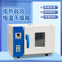 干燥箱小烘箱電熱鼓風恆溫老化箱工業烤箱實驗室烘干箱