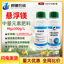 �����ӑҸ��V���٘���M�����|�ϳ�����Ԫ��ˮ�ܷ����r���~���