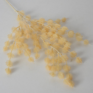 Lover's fruit champagne color