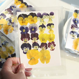 干花;拼插类玩具;科教玩具