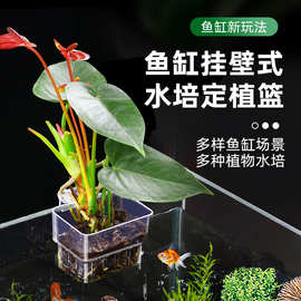鱼缸透明水培植物篮 壁挂式挺水植物架家用水草种植杯造景装饰