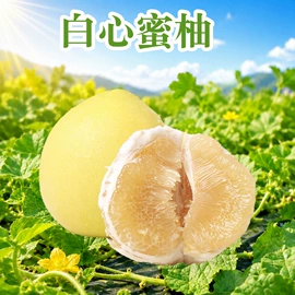 月饼;果蔬汁;梨