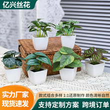 �羳��Ʒ�GֲС�����辰�Ҿ��b�����Gֲ����c�[������ֲ���b�