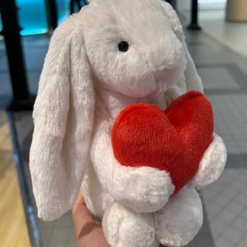 バンバンうさぎのぬいぐるみ、かわいい垂れ耳ウサギのぬいぐるみ、動物のぬいぐるみ|undefined