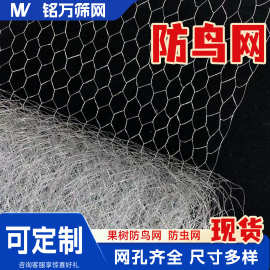 镀锌六角网轻质六边形铁丝网婚庆插花造型网果园防鸟网舞台星空网