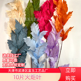 ins���յ��߷�����~10Ƭ����~�Ĕz�����[���Ʒ���yƷֲ���~��