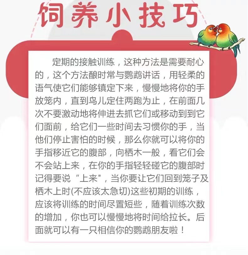 970767a4-2d15-4c08-8495-a0c2a61c1e32.jpe