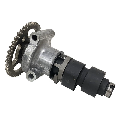 Crankshaft, camshaft for PIONEER 700