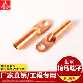 铜鼻子DT国标紫铜接线端子铜鼻子10-630电线电缆接线鼻子跨境厂家