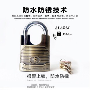 Zinc Alloy Package Beam Alarm Padlock 110 Decibel Anti-Theft Lock