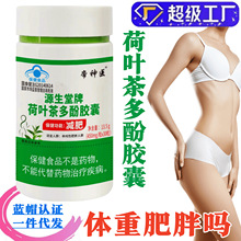 荷叶茶多酚胶囊 减肥胶囊 保健食品 蓝帽 女性 肥胖者 无左旋肉碱
