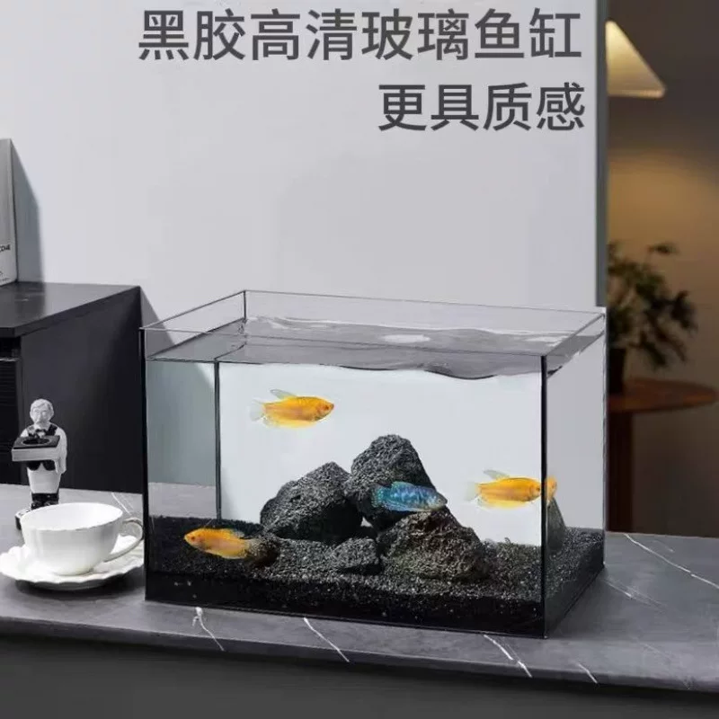 Glass aquarium