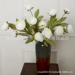 �羳����ĵ���F�����s���滨���Ҿ��bٻ��[����c�Ƶ겼�����l