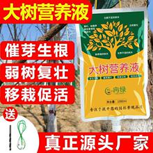 ��ľ�I�BҺ���Һ����ͨ�������Ԙ������������I�BҺݔҺ��`