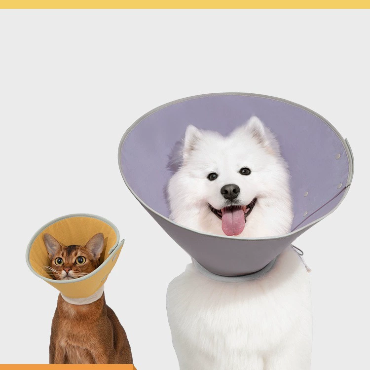 HiDREAM защелкивающийся конический елизаветинский ошейник, защитный головной убор, ошейник для кошек и собак, против укусов и литья