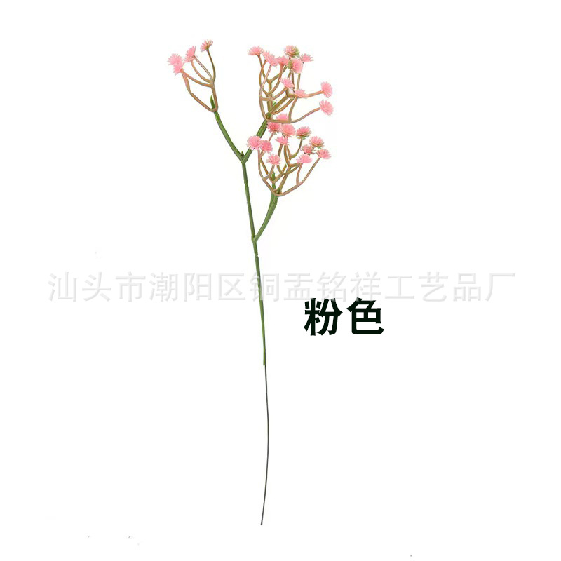 핑크