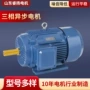 大功率定制同步220kw电动机