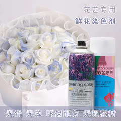 鮮花專用噴色劑花藝彩噴漸變色永生花乾花調色染色劑批發花束噴漆