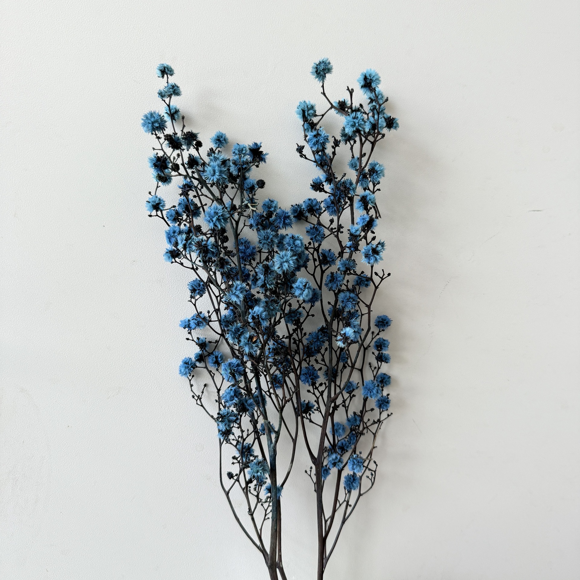 虎眼干花花束绒毛球家居装饰摆件成品花材配材真花雪梅花厂家批发