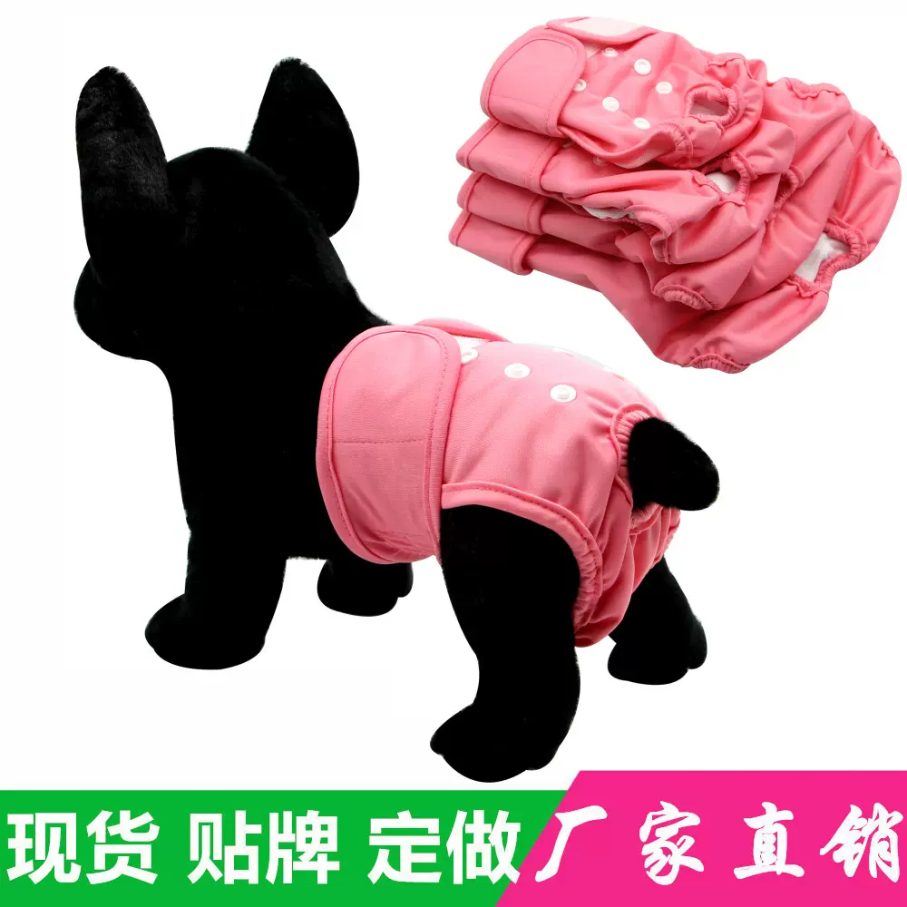 Asenappy礼貌带泰迪金毛宠物尿裤生理裤可洗狗衣服防骚扰亚马逊