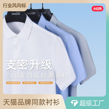 200支4股纯棉DP成衣免烫白衬衫男款短袖夏季高端商务男装白色衬衣