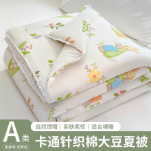 夏季空调被儿童夏凉被幼儿园夏被宝宝被子被芯春秋被四季棉被