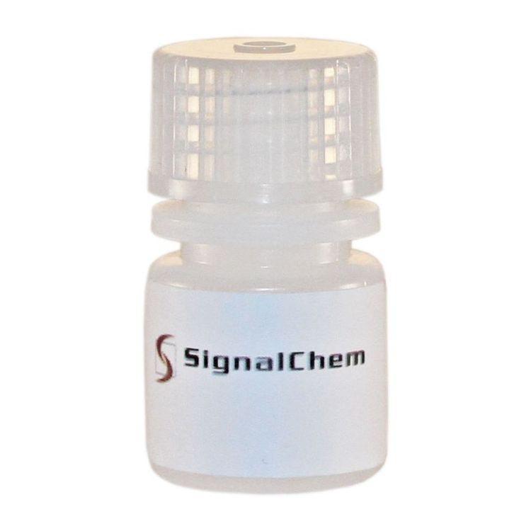 DTT溶液 蛋白激酶测定缓冲液 10ul #D86-09-10现货