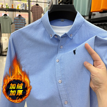 保罗衬衫男长袖纯棉加绒加厚中年休闲高级感内搭马标刺绣保暖衬衣