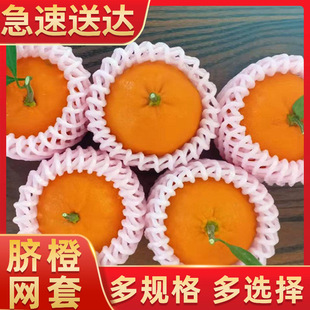 �߲�ˮ���W�� ��ܛ�b��}���o�W ���f��܇����؛