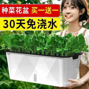 �Ԅ���ˮ����N�˷N���Nֲ���ͥ�̨���˻������ϷN����G�}����