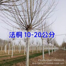 ��ͩ���編����ͩ�����~������ͩ�Ͼ���ͩ����ͩС���編ͩ���ľ